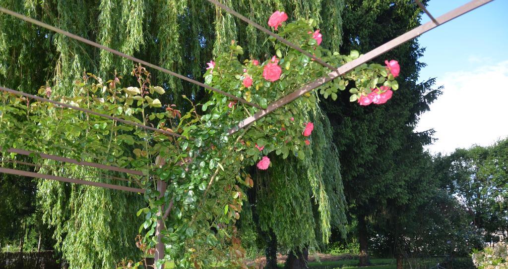 L'Arbre D'Alais Bed & Breakfast Saint-Fulgent Eksteriør bilde