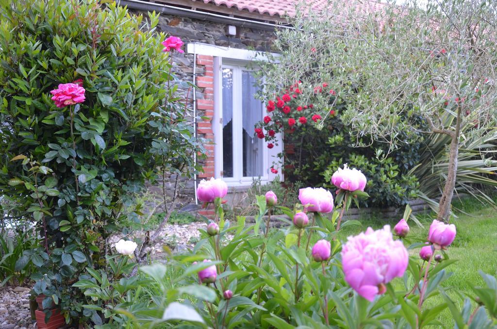 L'Arbre D'Alais Bed & Breakfast Saint-Fulgent Eksteriør bilde